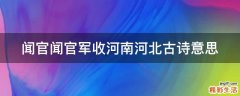 闻官闻官军收河南河北古诗意思