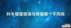 羚羊猩猩狼海马熊猫哪个不同类