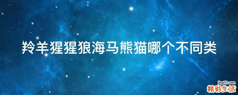 羚羊猩猩狼海马熊猫哪个不同类