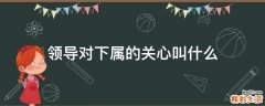 领导对下属的关心叫什么