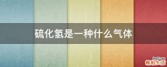 硫化氢是一种什么气体