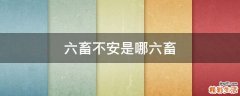 六畜不安是哪六畜
