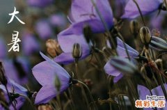 2023年大暑可以上坟吗 大暑节气做什么事情