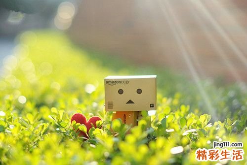 7 10个心灵鸡汤 让你快乐每一天