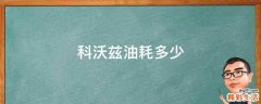 科沃兹油耗多少