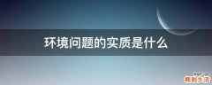 环境问题的实质是什么