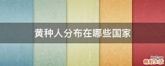 黄种人分布在哪些国家