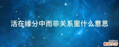 活在缘分中而非关系里什么意思