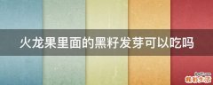 火龙果里面的黑籽发芽可以吃吗