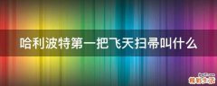 哈利波特第一把飞天扫帚叫什么