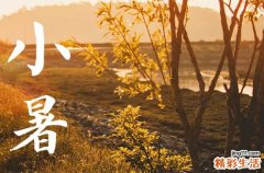 小暑是入伏吗三伏天是什么算的