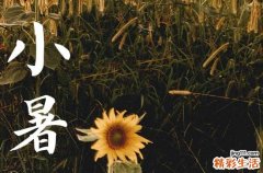 2023年小暑和大暑的时间 小暑和大暑哪个更热