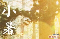 小暑和立秋哪个更热 小暑为什么不能下雨