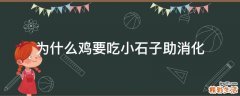 为什么鸡要吃小石子助消化