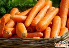 抗衰老食物十佳排行榜