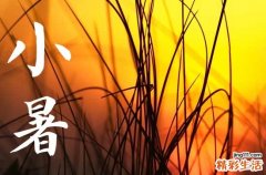 小暑为什么会下暴雨 小暑三候是什么意思