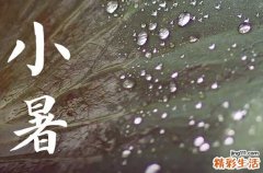 小暑不见日头,大暑晒开石头的意思 小暑可以艾灸吗