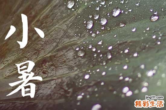 小暑不见日头,大暑晒开石头的意思 小暑可以艾灸吗