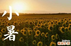 2023年小暑适合结婚吗 结婚新房需要准备什么