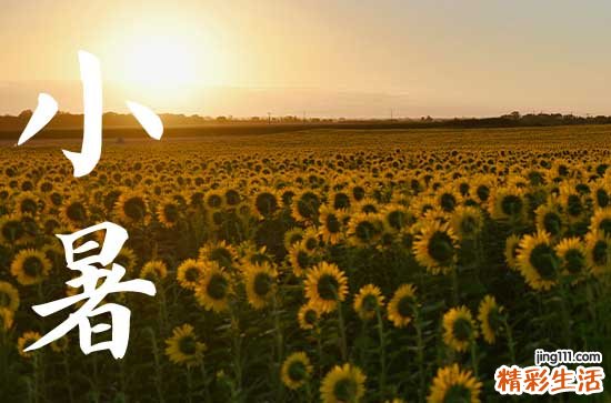 2023年小暑适合结婚吗 结婚新房需要准备什么