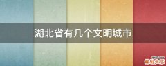 湖北省有几个文明城市