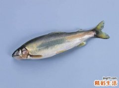 最抗衰老食物 及让人更容易老的食物