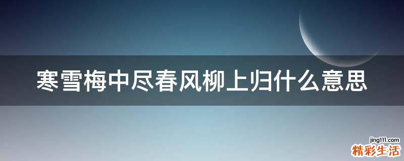 寒雪梅中尽春风柳上归什么意思