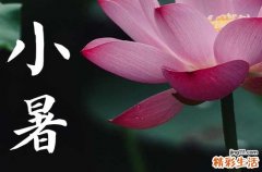 小暑可以回娘家吗 什么节气不能回娘家