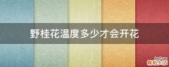 野桂花温度多少才会开花