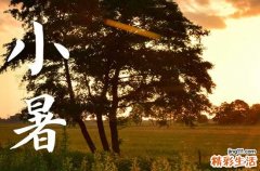 小暑为什么要吃面 小暑吃黄鳝有什么好处