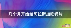 几个月开始给阿拉斯加吃钙片