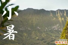 2023年小暑是入伏第一天吗 小暑适合喝什么茶