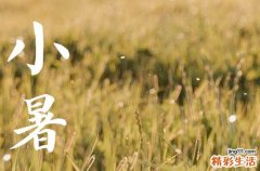 小暑入伏是什么意思 小暑为什么要吃新米