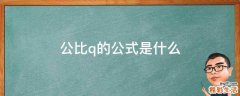 公比q的公式是什么