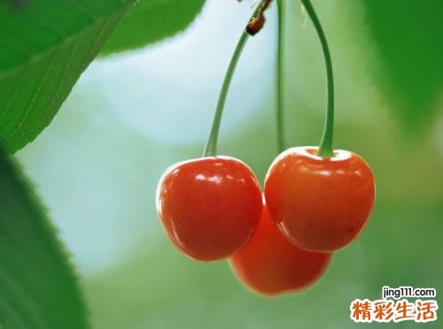 吃什么水果对皮肤好 护肤果汁有哪些