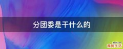 分团委是干什么的