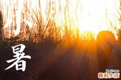 小暑为什么不是丙火 小暑晒伏是什么意思