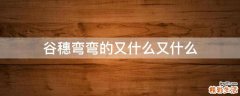 谷穗弯弯的又什么又什么
