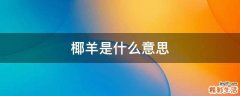 椰羊是什么意思