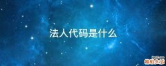 法人代码是什么
