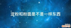 淀粉和粉面是不是一样东西