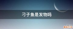 刁子鱼是发物吗