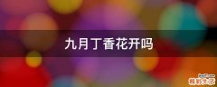 九月丁香花开吗