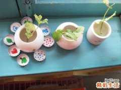 2 解密女人心海底针