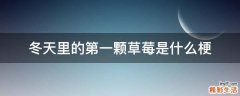 冬天里的第一颗草莓是什么梗