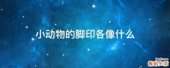 小动物的脚印各像什么