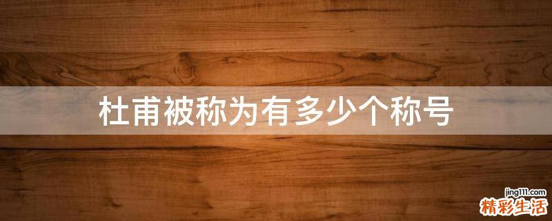 杜甫被称为有多少个称号