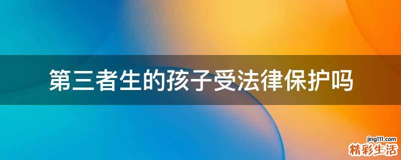 第三者生的孩子受法律保护吗