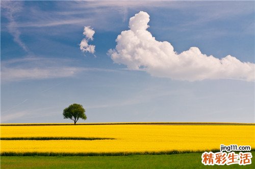 内向者如何修炼成社交达人