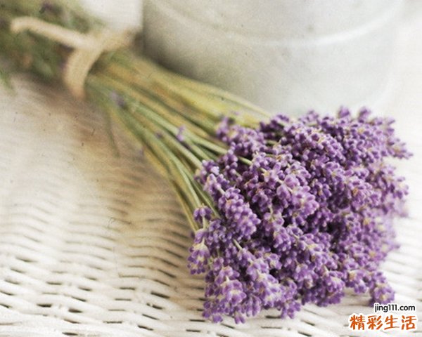 橄榄油怎么护发_橄榄油护发方法